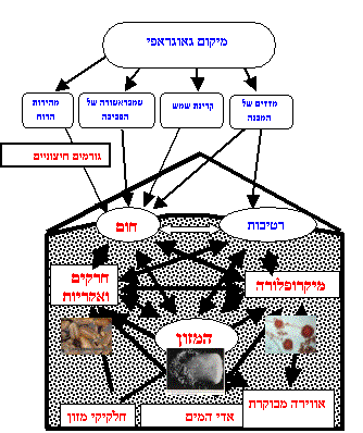 המערכת האקולוגית בצובר