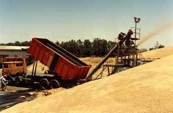 Loading from trucks with screw auger & rotating belt