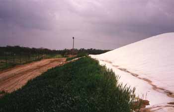 After a year - ramps covered with vegetation