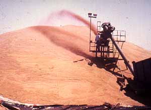 loading the bunker