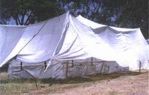 protective cover over cocoons