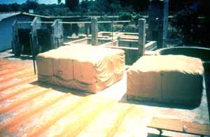 cocoons on drying floor Anurhadapura