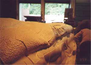 cocoon under vacuum