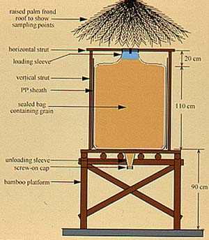 Plan of granary
