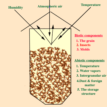 The grain storage ecosystem